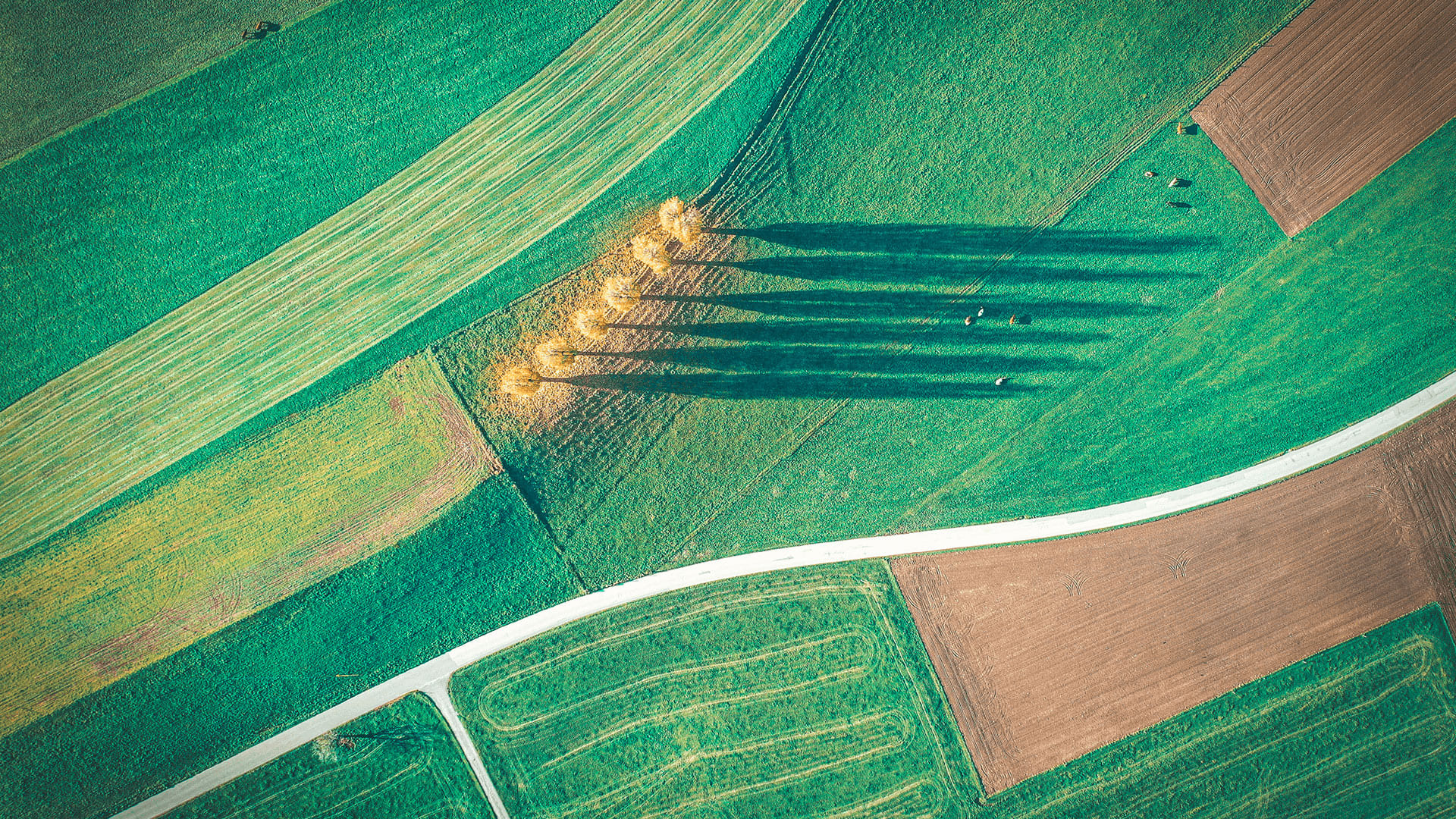 Opret Deres private tur